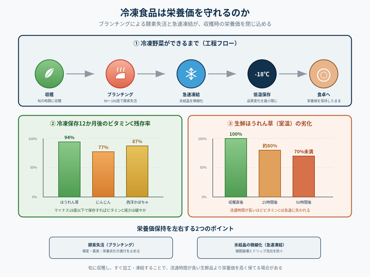冷凍食品は栄養価を守れるのか——ブランチングと急速凍結が支える成分保持