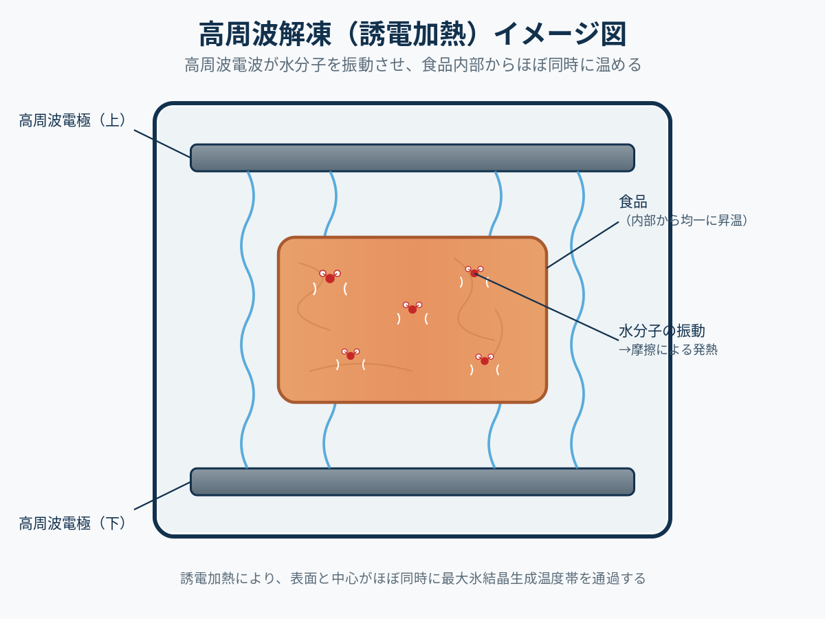 解凍技術の最前線——高周波解凍が均一解凍とドリップ抑制を両立します