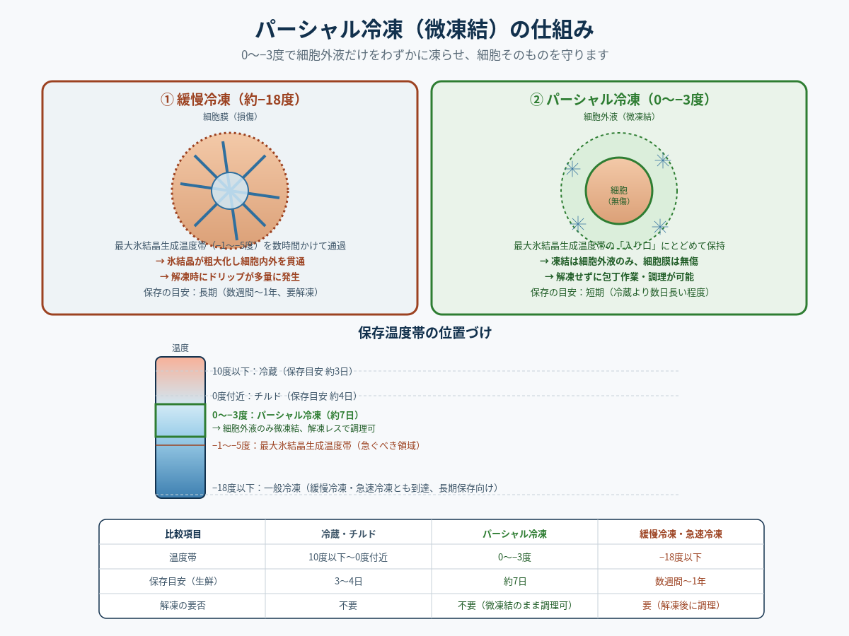 パーシャル冷凍(微凍結)とは——0〜−3度で細胞を守り、解凍レスで使える保存技術