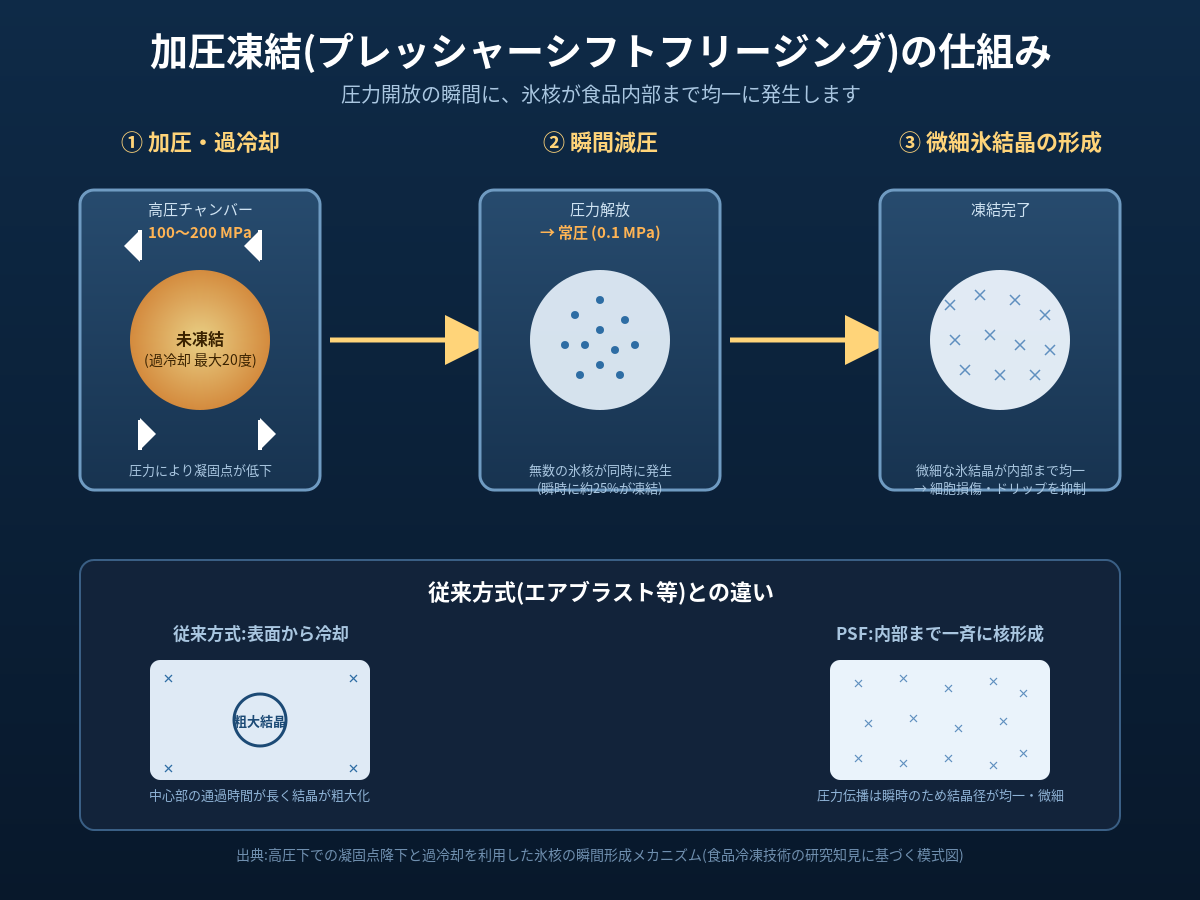 加圧凍結(プレッシャーシフトフリージング)とは——圧力開放の瞬間に氷結晶を均一微細化する技術